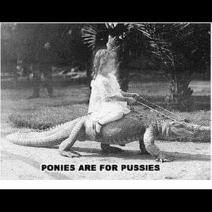 Meet your Posher, Jared